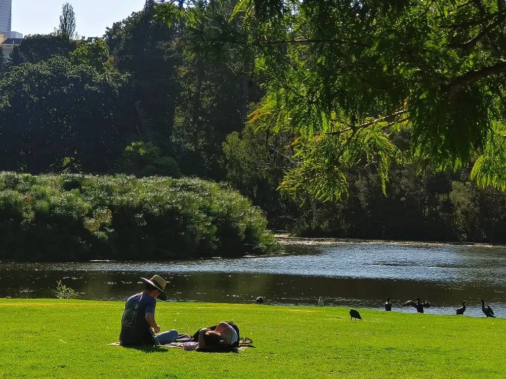 墨爾本皇家植物園湖畔草地，水鳥與旅人悠閒歇息
